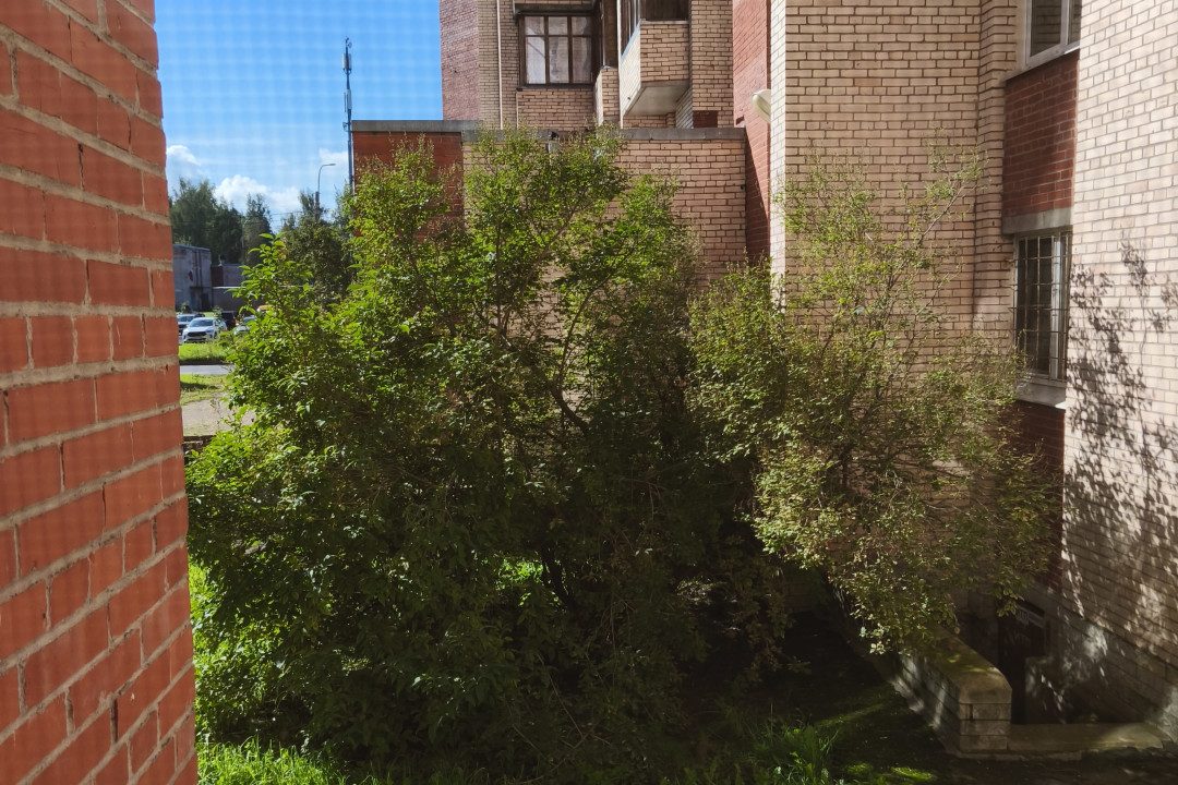 1529a67810d688d438d977ac3ffde5e7ef60bf7dbcdbd971506eb176efc2f6fe