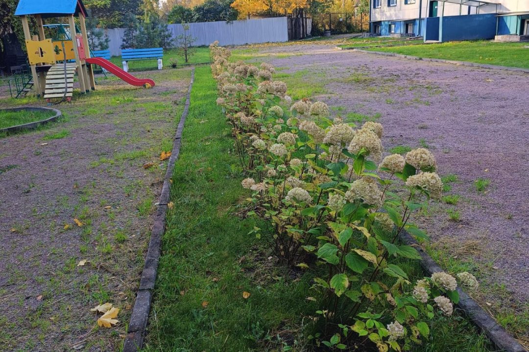 a1f1c96609b30b491e53cfda761b9edc8cce04acbff249723592dcbaac312ee9