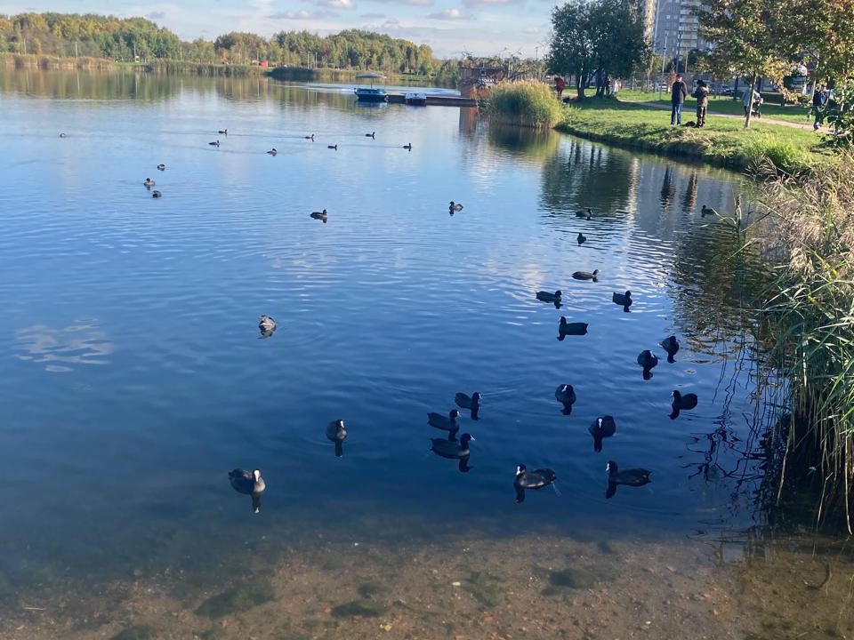 0842e8abc9562ae0c0833eddd1b9bc8f277914f3da820c40269eb85ef65ceb4f