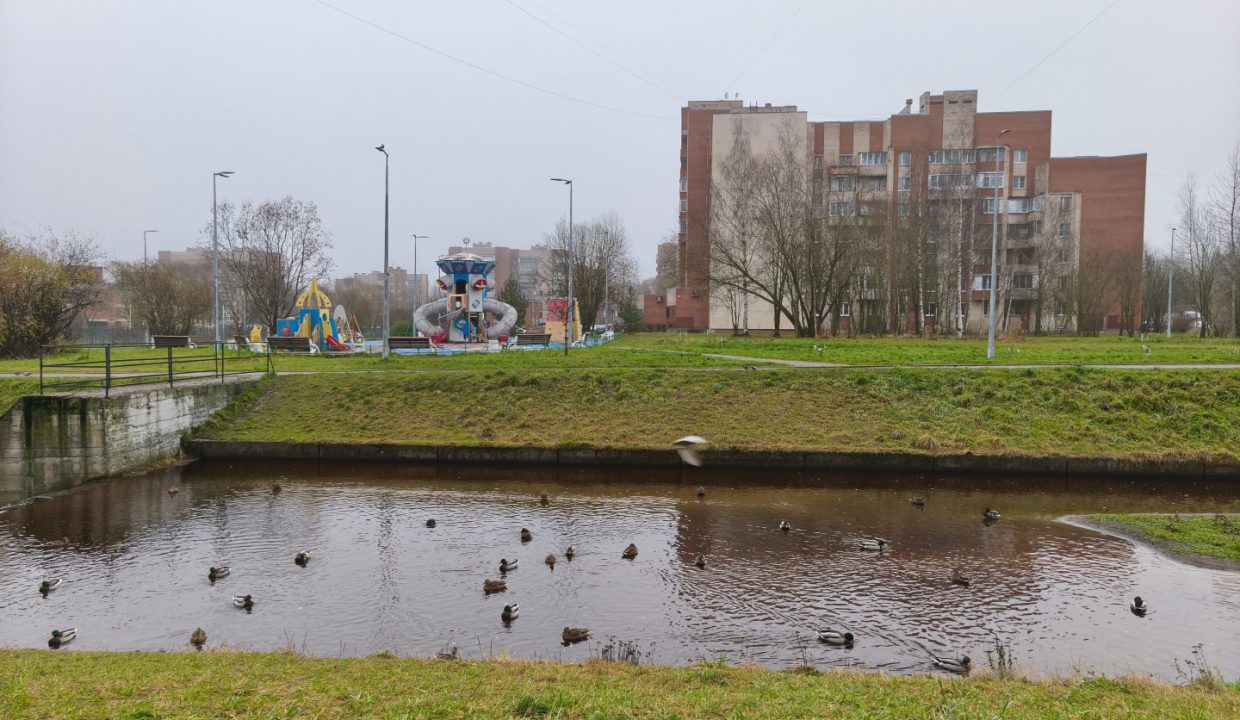 2a146648ae932b43890e6a3fa43b223e04d81daa4784da3fa7d264ebd94d5a55