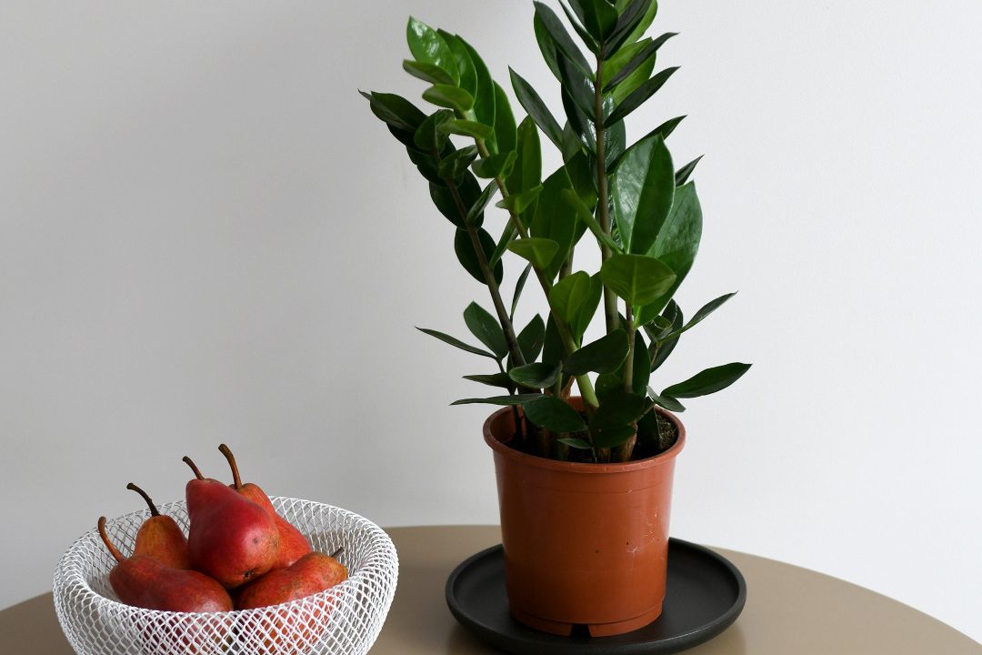 39a1b1ddb9d1ca1d49beca186ee4a33204e15a4c22aa8759e513633f96a0d9e0