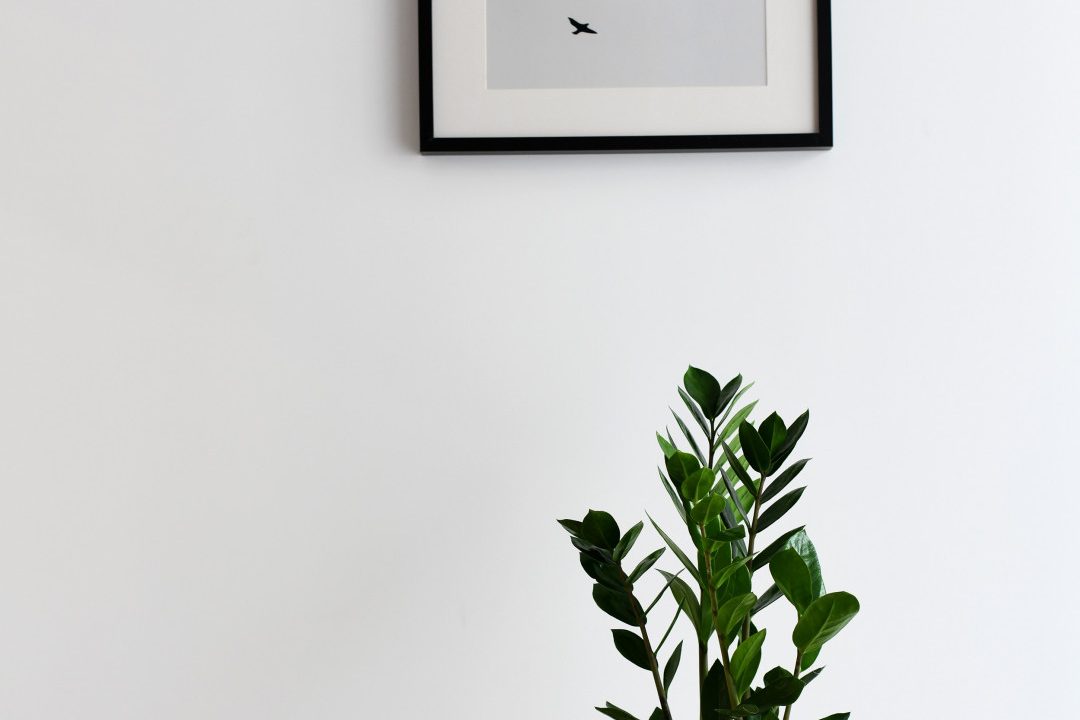 a19ace6fca08071d346f0b3b1fcecdf225d337643e082da5e235937e68755a59