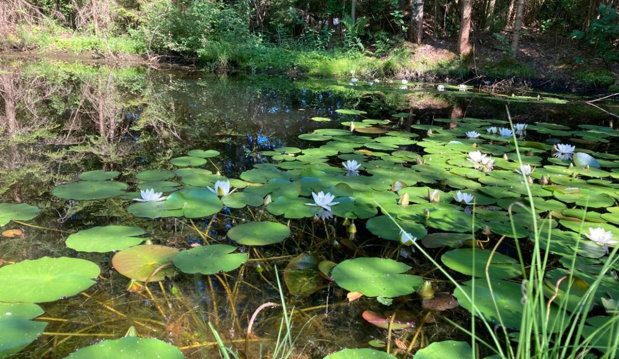 3954761f02a66bc3bd8a6e270e7ddef2778a9116ebf1e7d8165c77e9dfebb78a