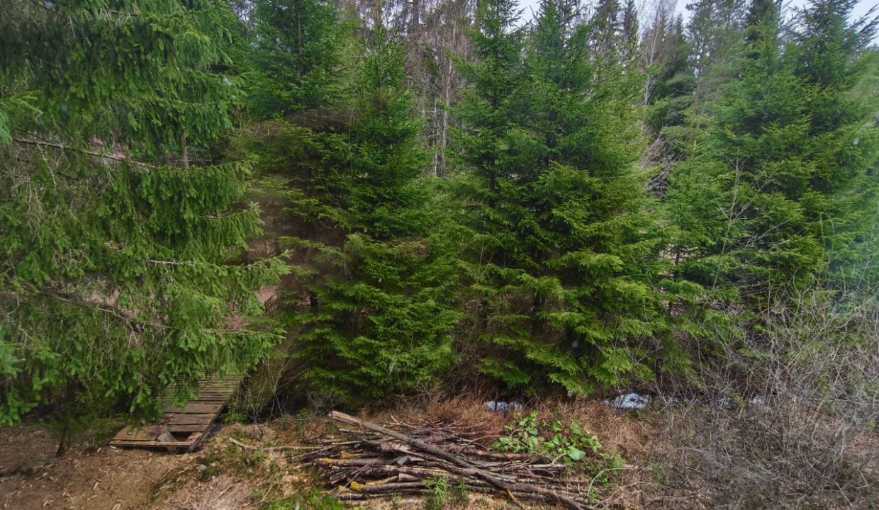 c22634165dc609682349c6205822e7965521f255009b43b8c310870dea495bd8